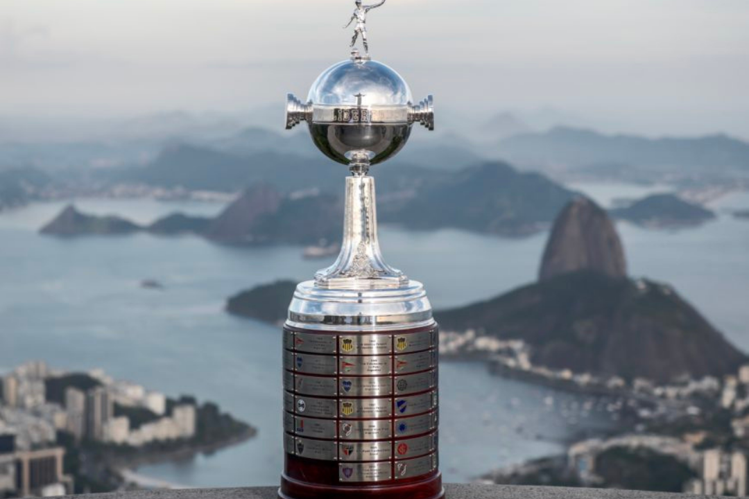 Leia mais sobre o artigo As melhores campanhas de brasileiros na Libertadores