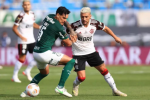 Leia mais sobre o artigo <strong>Palmeiras e Flamengo: Histórico do confronto</strong>
