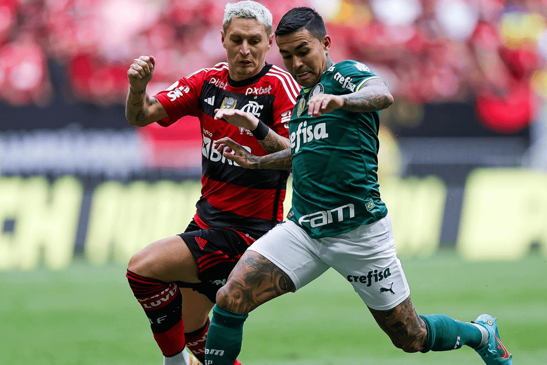 Leia mais sobre o artigo História de Palmeiras X Flamengo