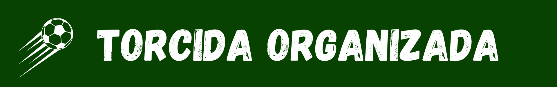 Torcida Organizada